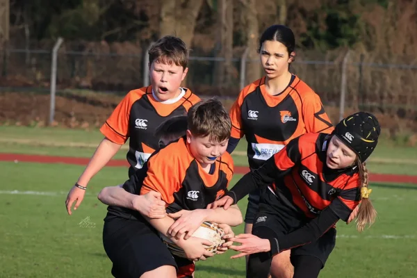 cubs seizoen 25/26 - foto 18