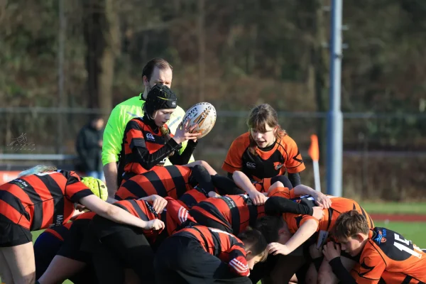 cubs seizoen 25/26 - foto 35
