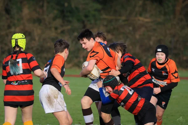 cubs seizoen 25/26 - foto 6