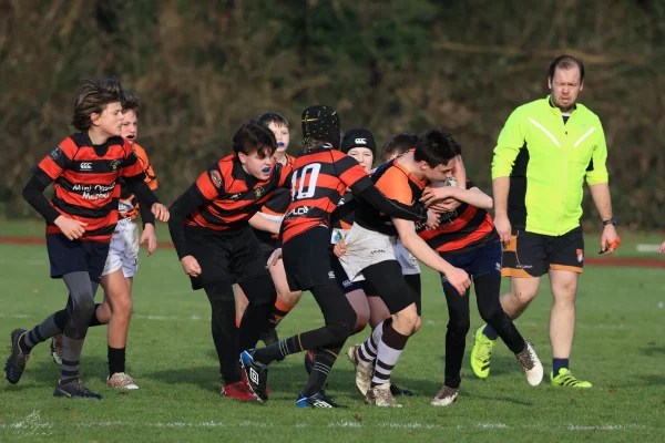 cubs seizoen 25/26 - foto 3