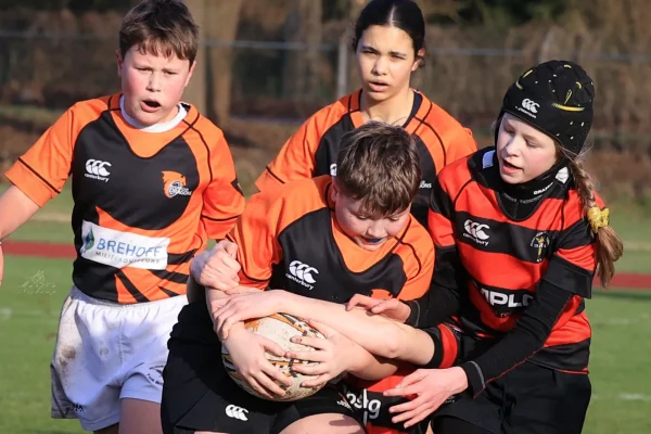 cubs seizoen 25/26 - foto 19
