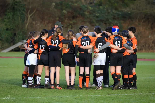 cubs seizoen 25/26 - foto 2