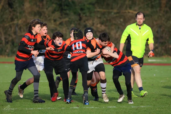 cubs seizoen 25/26 - foto 5