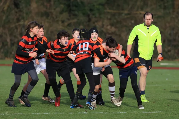cubs seizoen 25/26 - foto 4