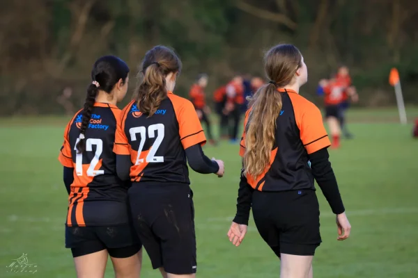 cubs seizoen 25/26