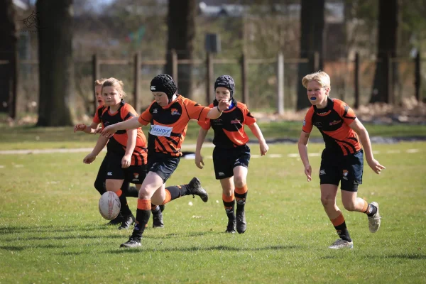 mini's - foto 3
