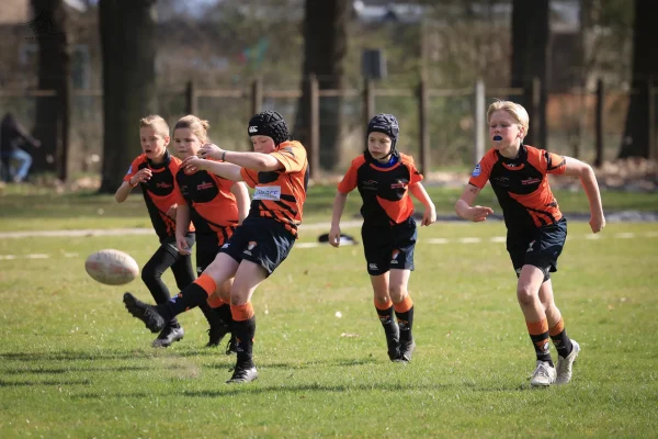 mini's - foto 4