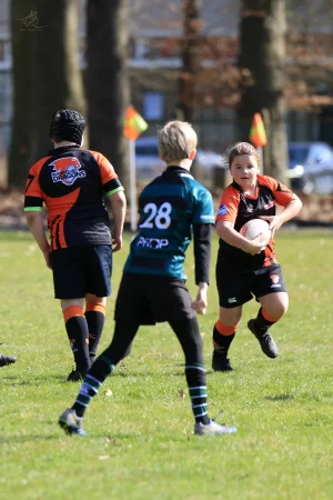 mini's - foto 24