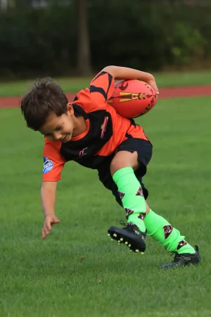 turven 2026/2027 - foto 6