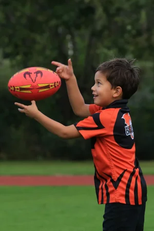 turven 2026/2027 - foto 3