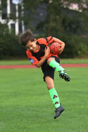 turven 2026/2027 - foto 5