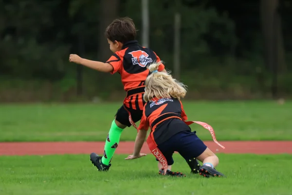 turven 2026/2027 - foto 12