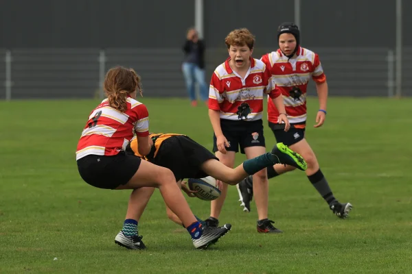 twente cubs - DEW  26 sept 26 - foto 25