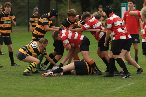 twente cubs - DEW  26 sept 26 - foto 50