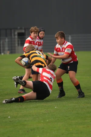 twente cubs - DEW  26 sept 26 - foto 29