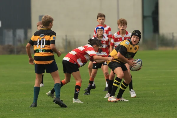 twente cubs - DEW  26 sept 26 - foto 27