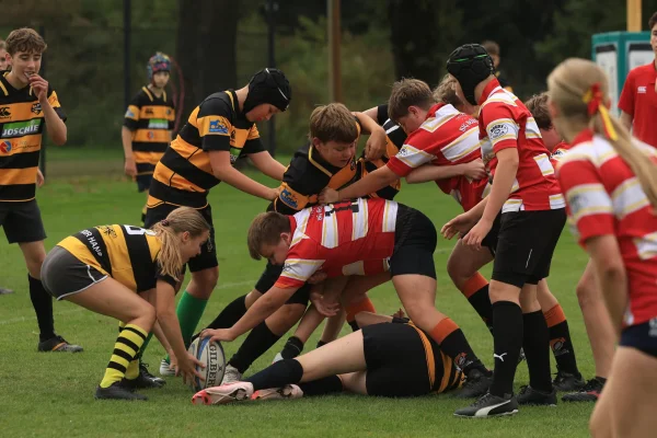 twente cubs - DEW  26 sept 26 - foto 51