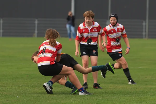 twente cubs - DEW  26 sept 26 - foto 26